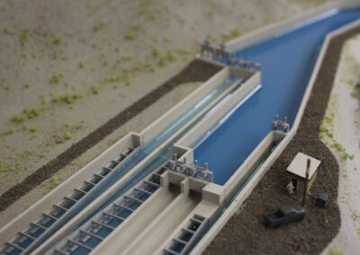 Species Preservation & Water Infrastructure 3D Model